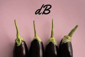 receta de berenjenas rellenas en freidora sin aceite