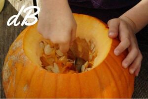Receta de calabaza especiada en freidora sin aceite