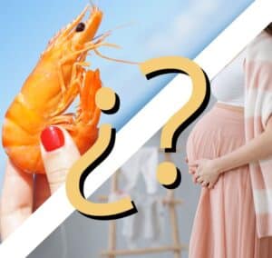se pueden comer gambas en el embarazo